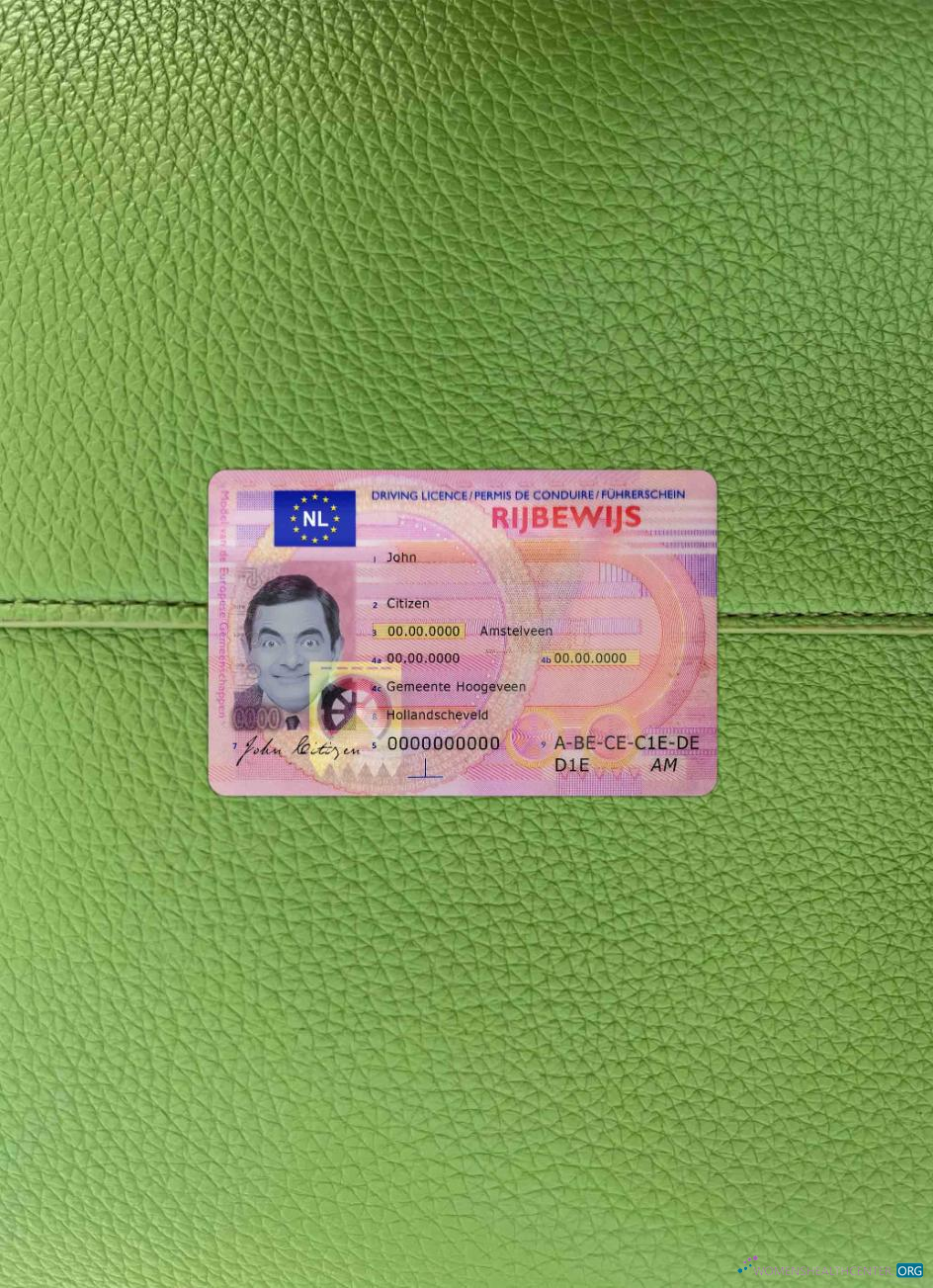 Download Netherlands driving license photolook FRONT Photoshop template